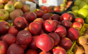 Obst und Gemüse auf dem Markt 